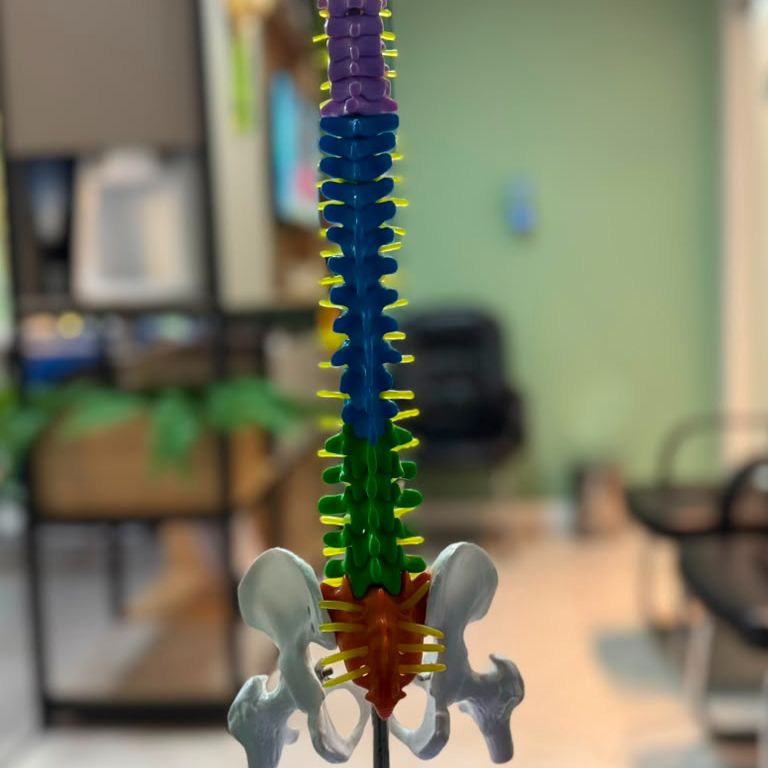Imagem do Motriz - Fisioterapia & Pilates