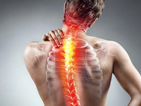 Fisioterapia de Coluna